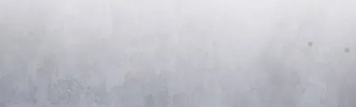 Read The Lord of Coins Manga Online