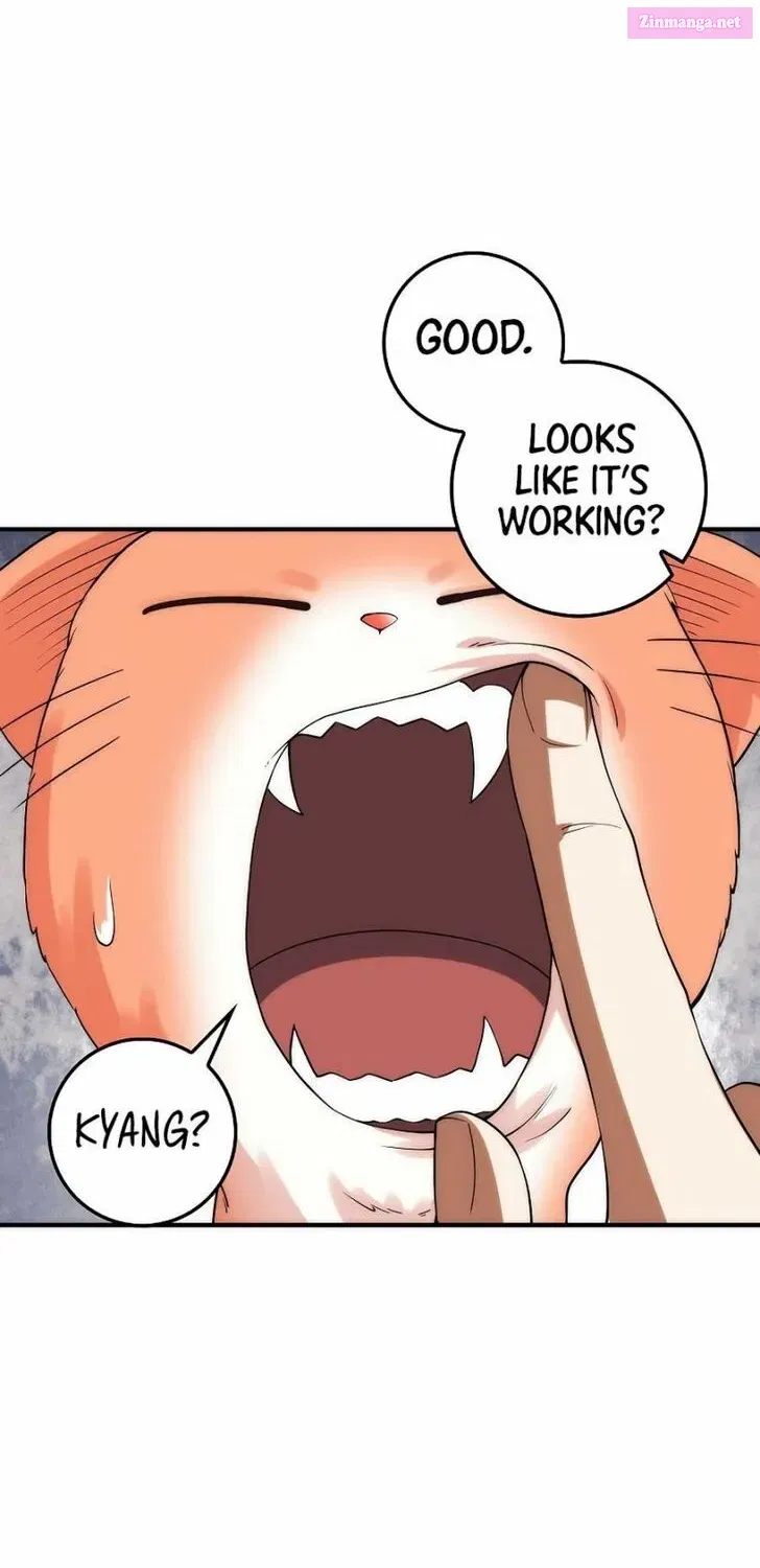 Read The Lord of Coins Manga Online