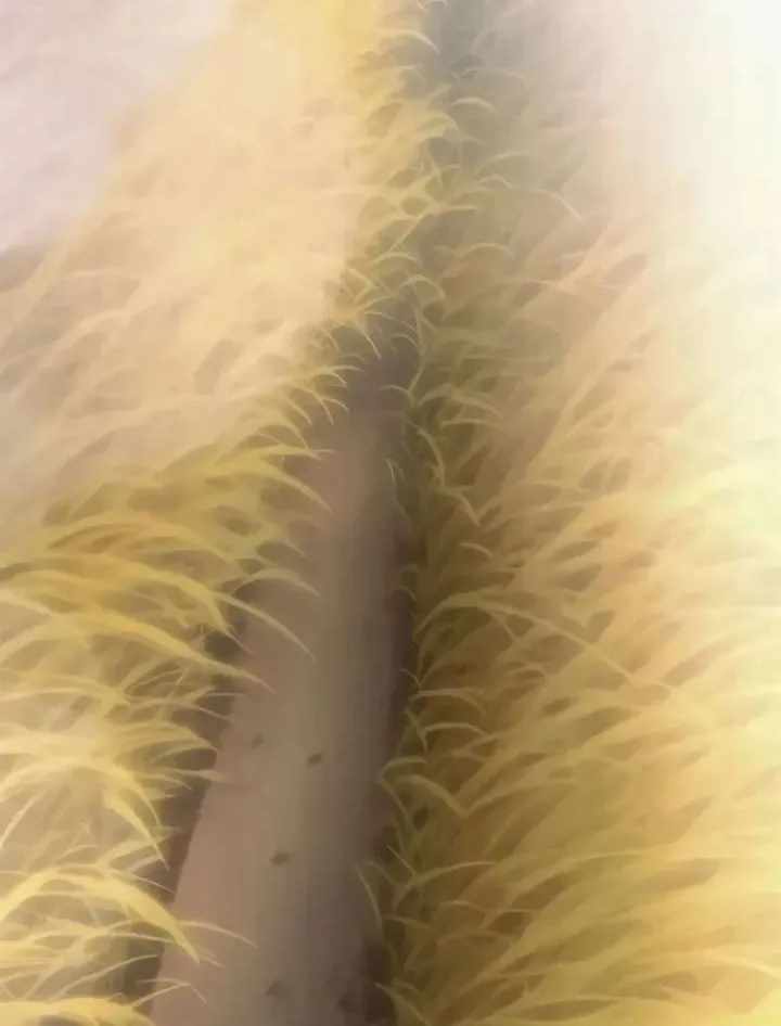 Read The Shepherd Wizard Manga Online