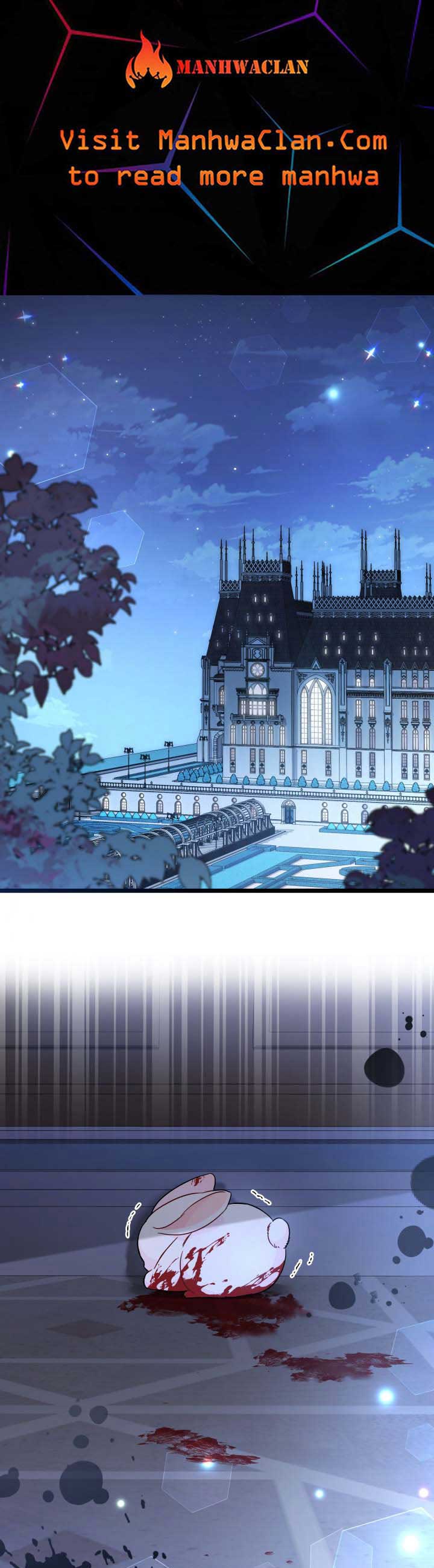 Read The Symbiotic Relationship Between the Rabbit and the Black Panther Manga Online