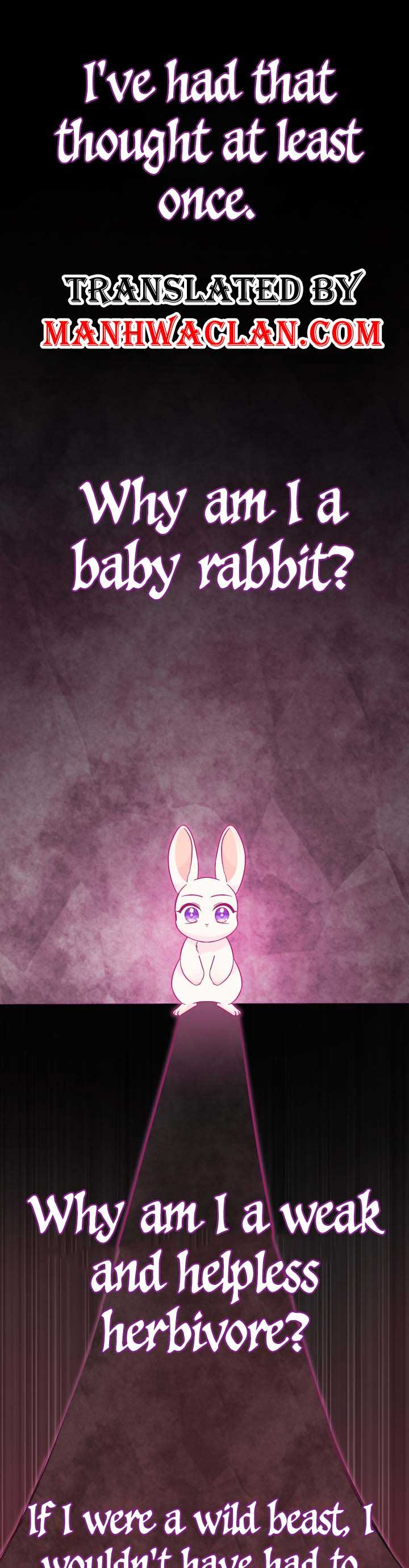 Read The Symbiotic Relationship Between the Rabbit and the Black Panther Manga Online