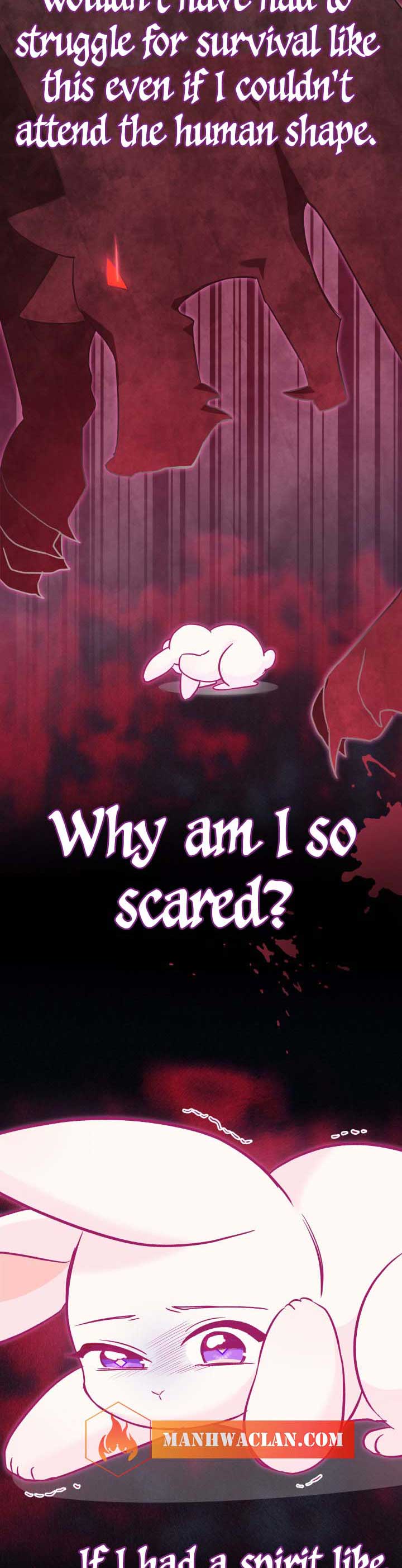 Read The Symbiotic Relationship Between the Rabbit and the Black Panther Manga Online