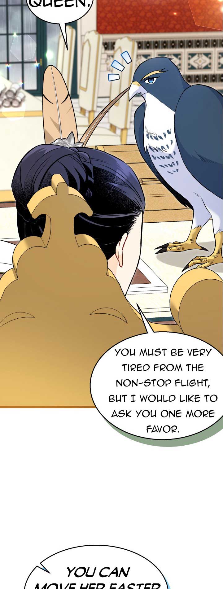 Read The Symbiotic Relationship Between the Rabbit and the Black Panther Manga Online