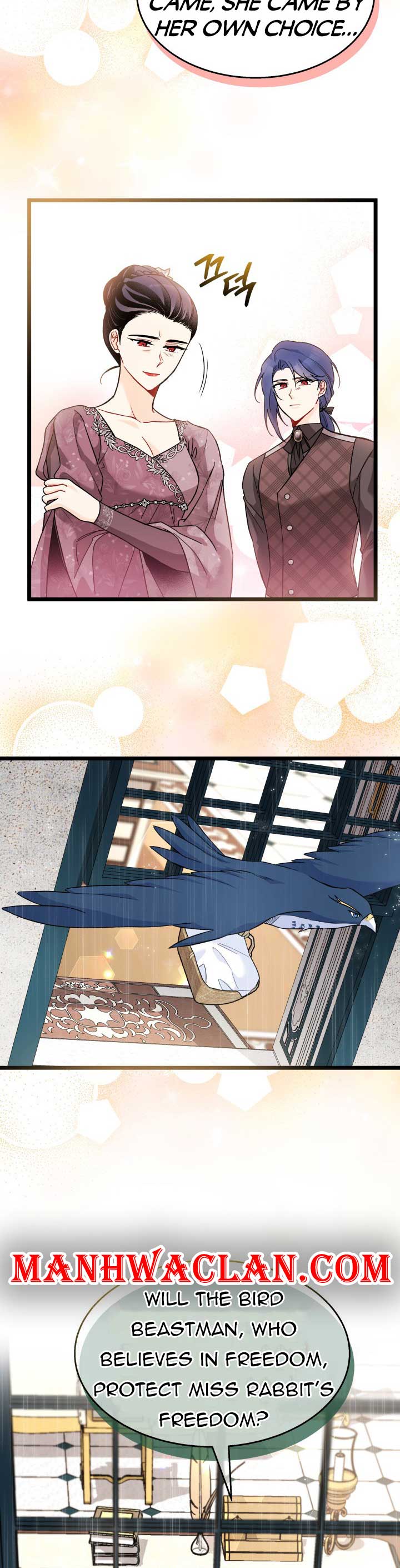 Read The Symbiotic Relationship Between the Rabbit and the Black Panther Manga Online