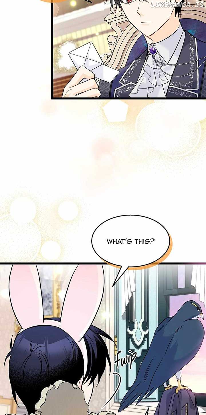 Read The Symbiotic Relationship Between the Rabbit and the Black Panther Manga Online