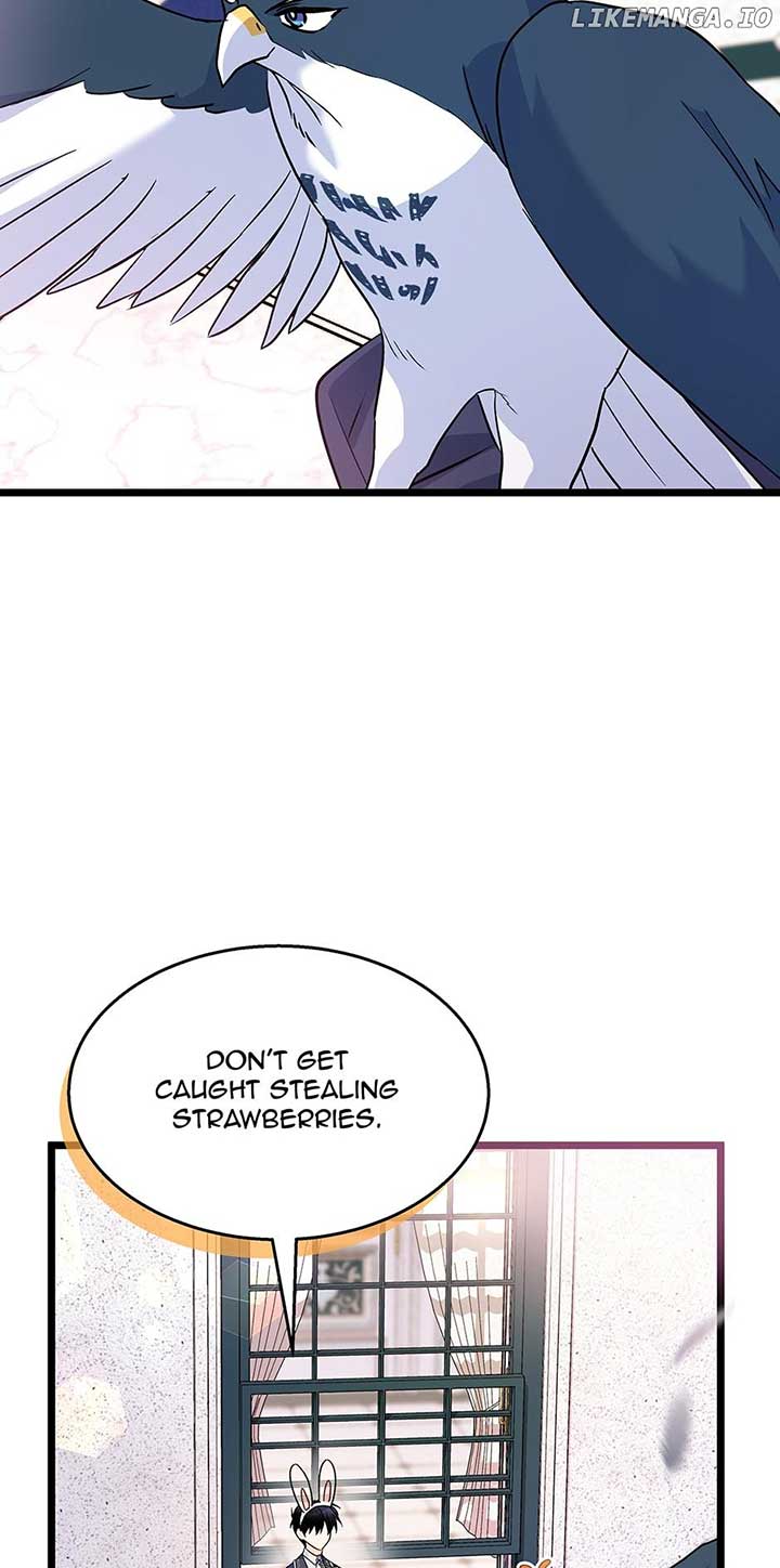 Read The Symbiotic Relationship Between the Rabbit and the Black Panther Manga Online