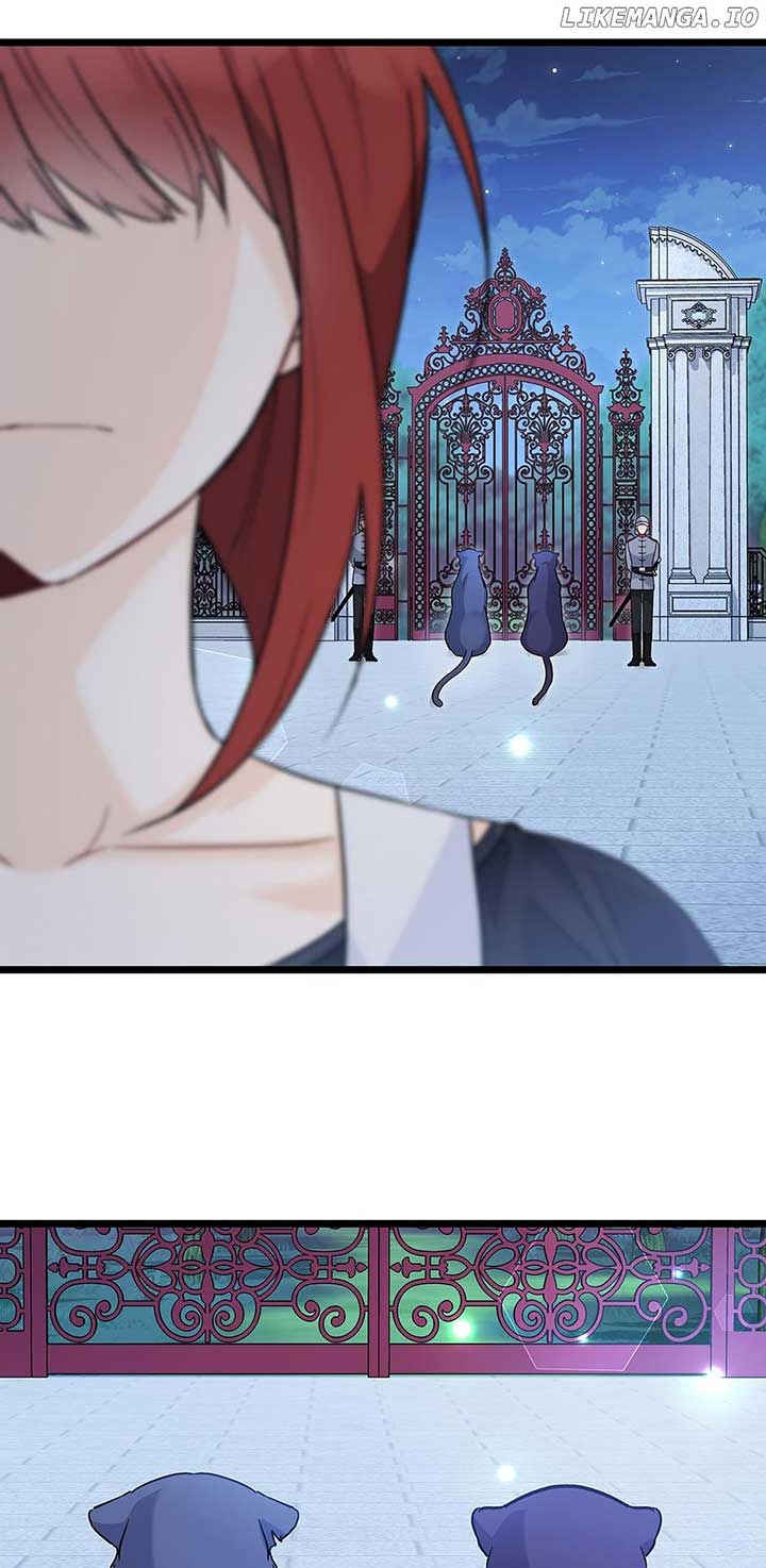 Read The Symbiotic Relationship Between the Rabbit and the Black Panther Manga Online