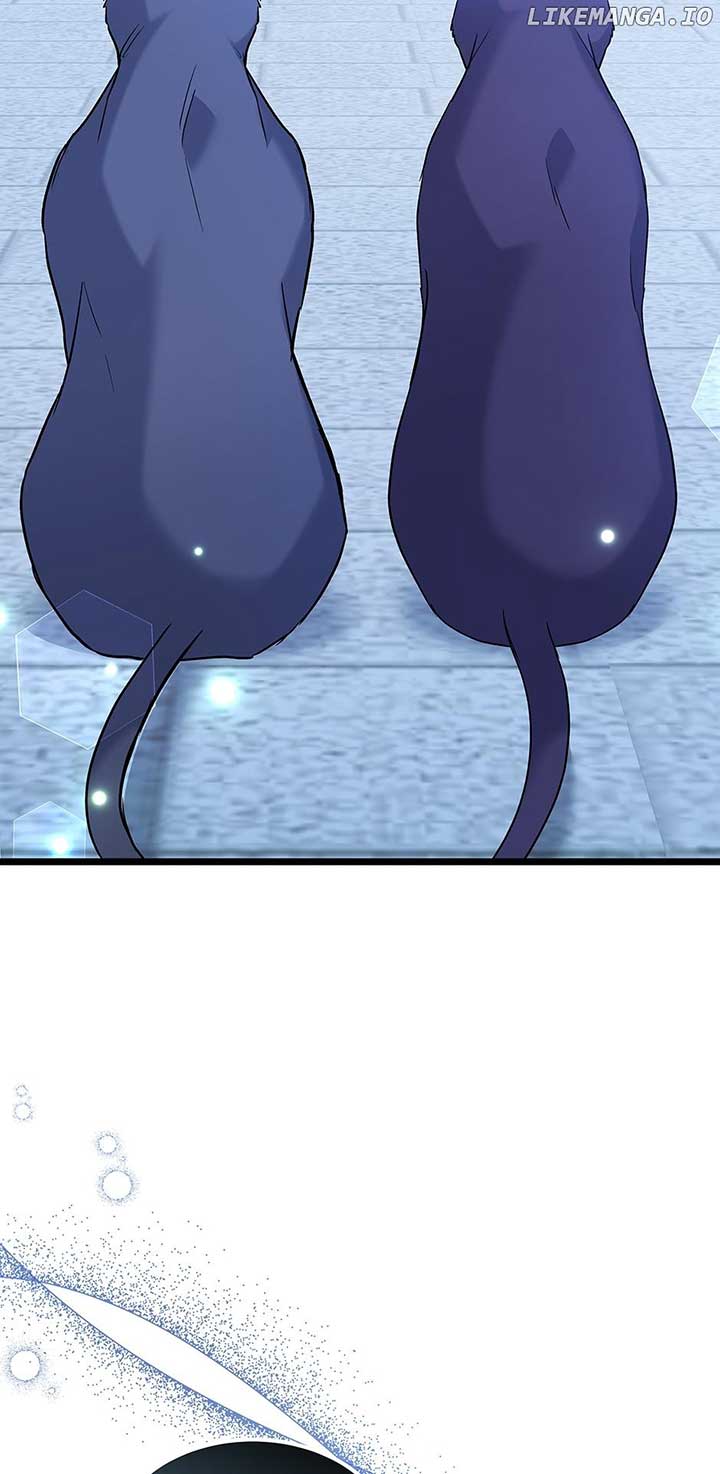 Read The Symbiotic Relationship Between the Rabbit and the Black Panther Manga Online