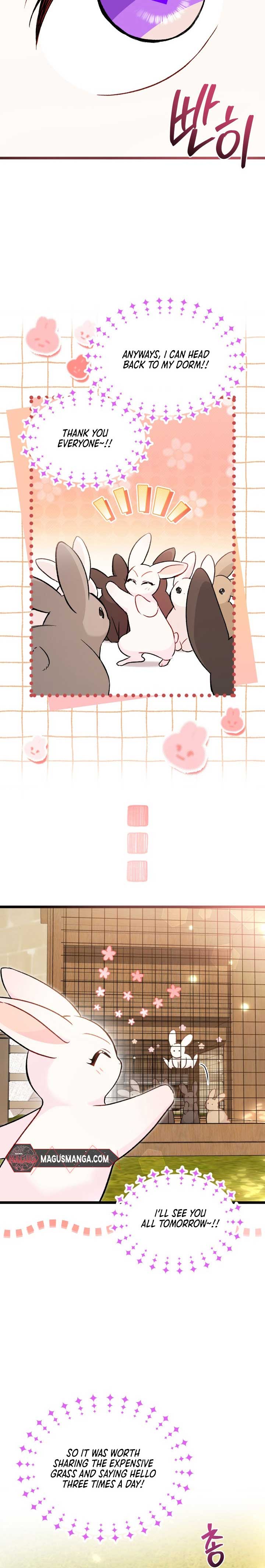 Read The Symbiotic Relationship Between the Rabbit and the Black Panther Manga Online