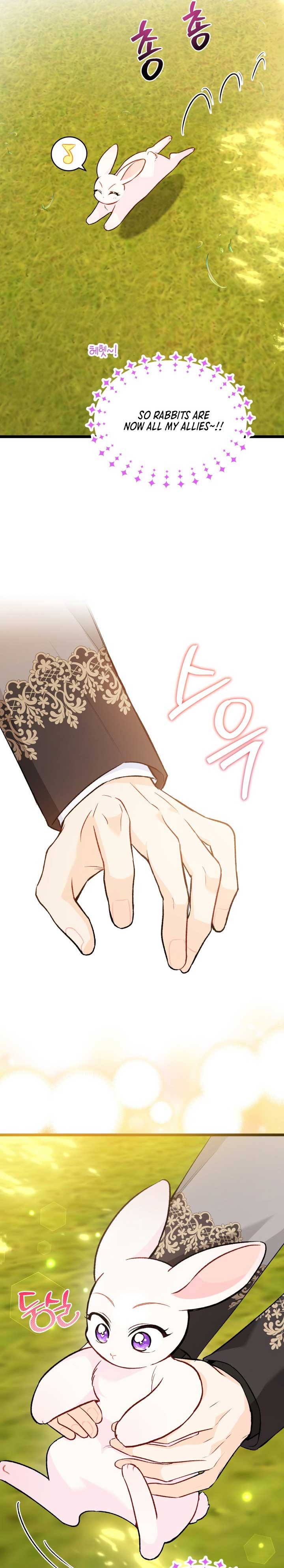 Read The Symbiotic Relationship Between the Rabbit and the Black Panther Manga Online