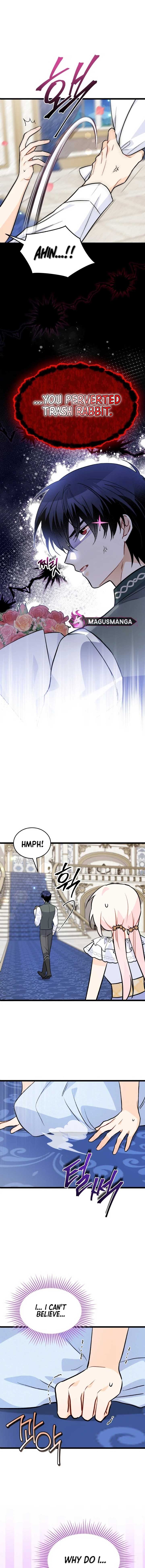 Read The Symbiotic Relationship Between the Rabbit and the Black Panther Manga Online