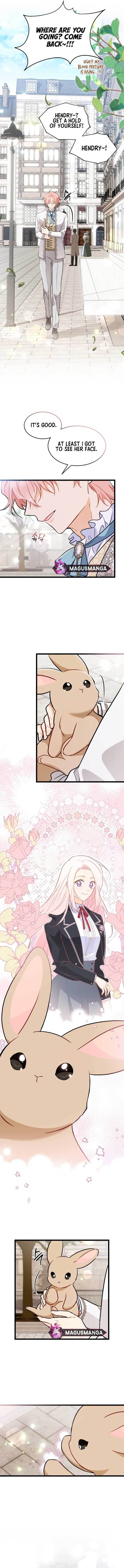 Read The Symbiotic Relationship Between the Rabbit and the Black Panther Manga Online