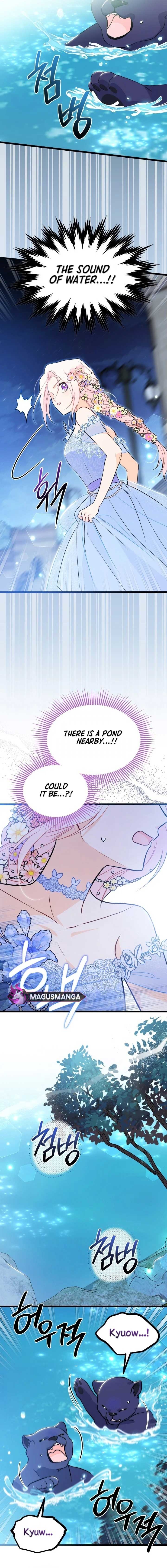 Read The Symbiotic Relationship Between the Rabbit and the Black Panther Manga Online