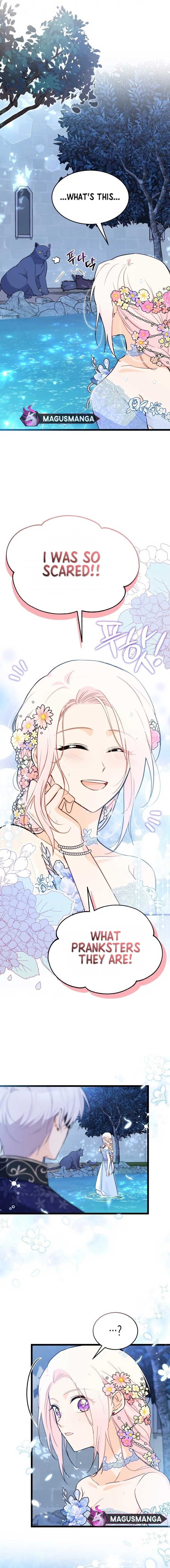 Read The Symbiotic Relationship Between the Rabbit and the Black Panther Manga Online