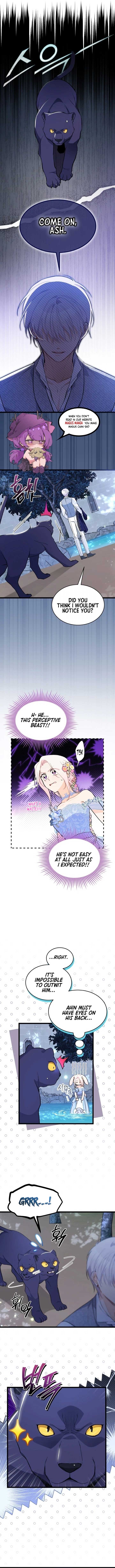 Read The Symbiotic Relationship Between the Rabbit and the Black Panther Manga Online