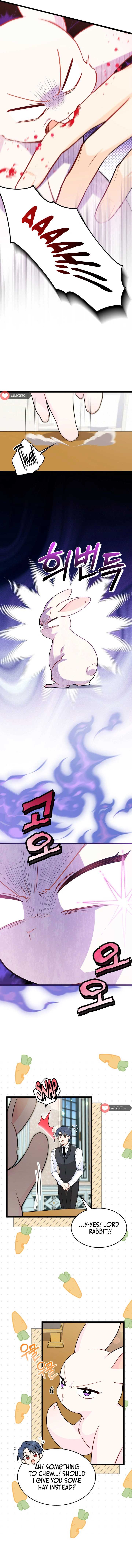 Read The Symbiotic Relationship Between the Rabbit and the Black Panther Manga Online