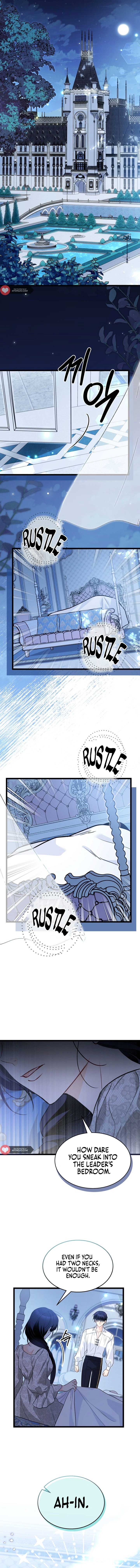 Read The Symbiotic Relationship Between the Rabbit and the Black Panther Manga Online