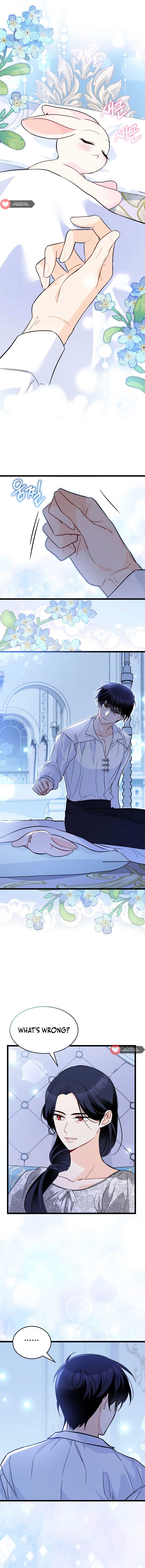 Read The Symbiotic Relationship Between the Rabbit and the Black Panther Manga Online