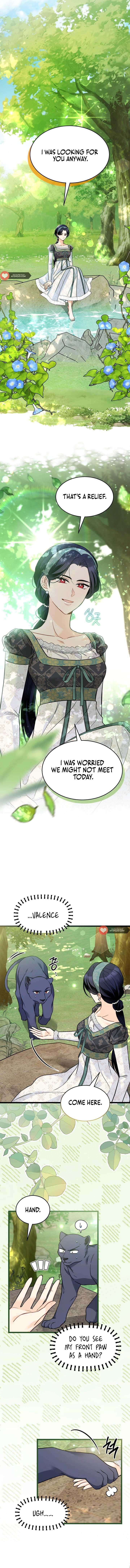 Read The Symbiotic Relationship Between the Rabbit and the Black Panther Manga Online