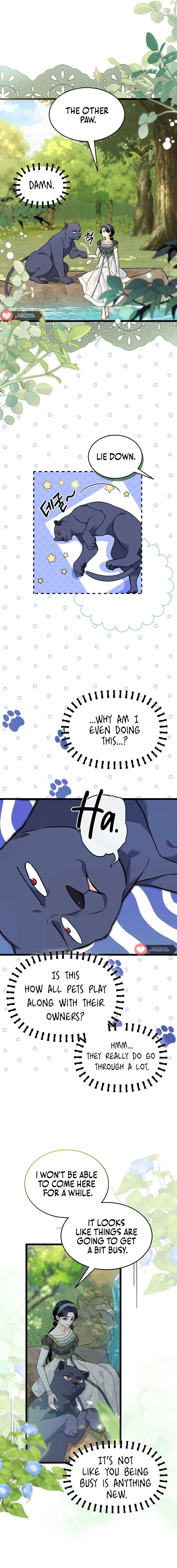 Read The Symbiotic Relationship Between the Rabbit and the Black Panther Manga Online