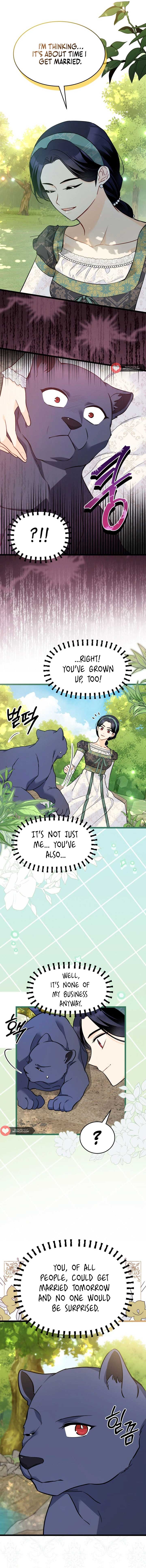 Read The Symbiotic Relationship Between the Rabbit and the Black Panther Manga Online