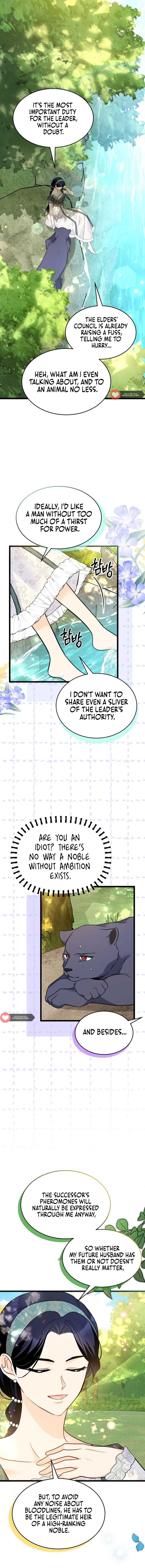 Read The Symbiotic Relationship Between the Rabbit and the Black Panther Manga Online