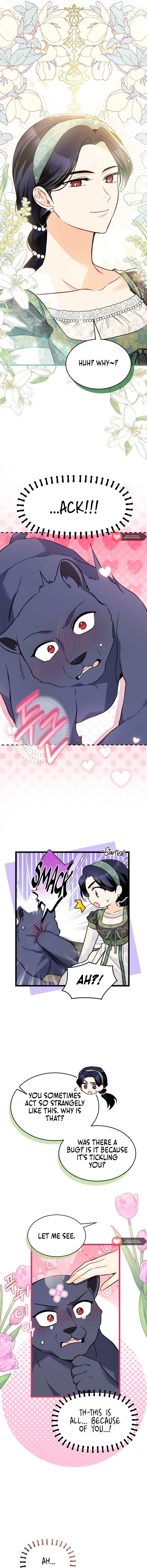 Read The Symbiotic Relationship Between the Rabbit and the Black Panther Manga Online