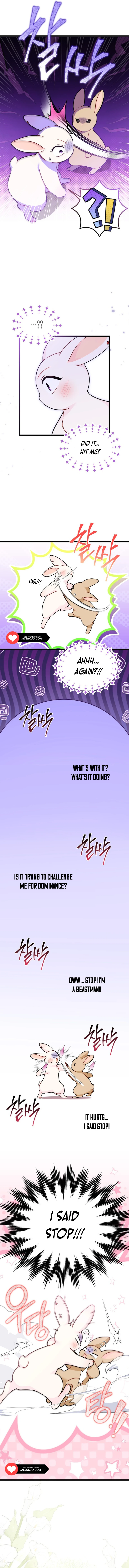 Read The Symbiotic Relationship Between the Rabbit and the Black Panther Manga Online