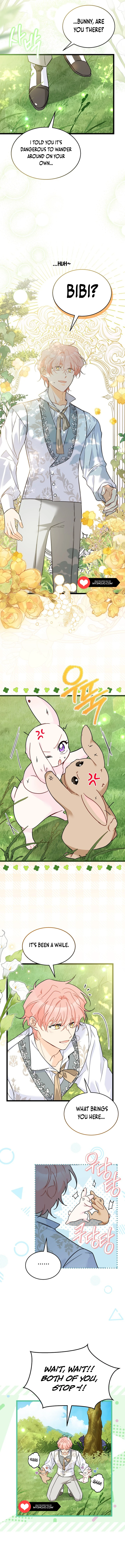 Read The Symbiotic Relationship Between the Rabbit and the Black Panther Manga Online