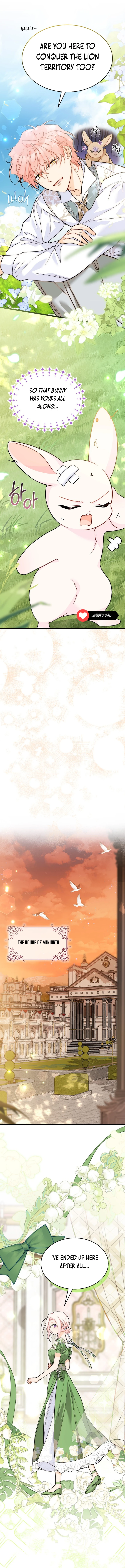 Read The Symbiotic Relationship Between the Rabbit and the Black Panther Manga Online