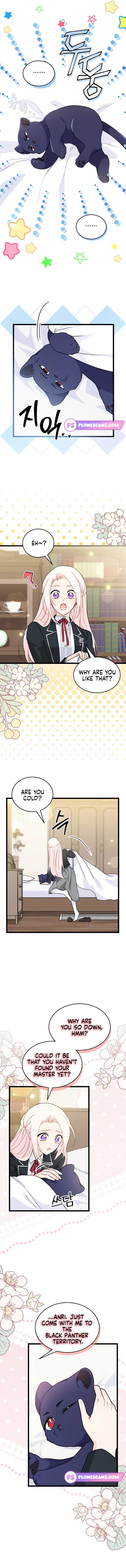 Read The Symbiotic Relationship Between the Rabbit and the Black Panther Manga Online