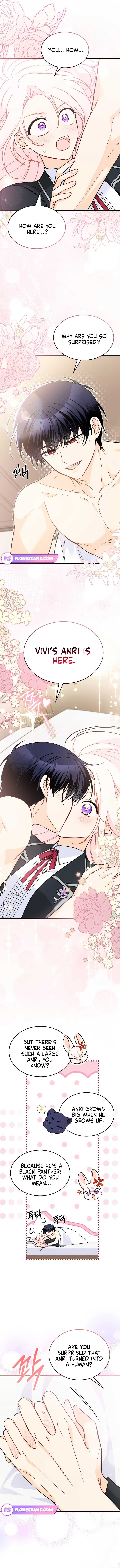 Read The Symbiotic Relationship Between the Rabbit and the Black Panther Manga Online