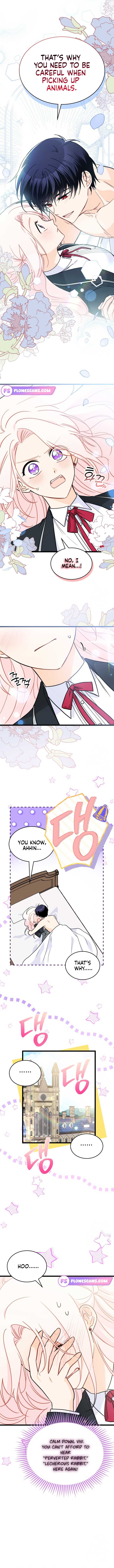 Read The Symbiotic Relationship Between the Rabbit and the Black Panther Manga Online