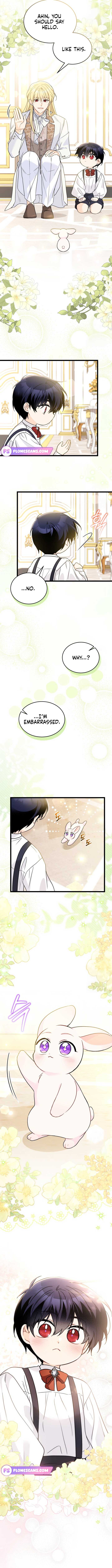 Read The Symbiotic Relationship Between the Rabbit and the Black Panther Manga Online