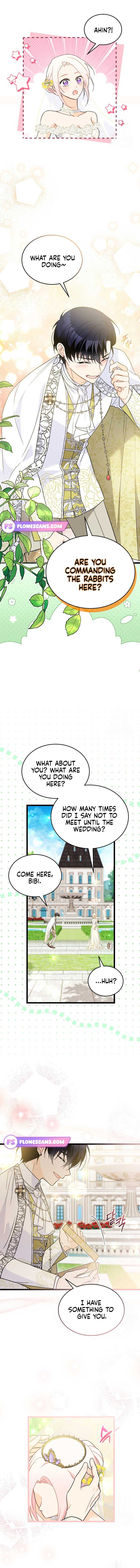 Read The Symbiotic Relationship Between the Rabbit and the Black Panther Manga Online