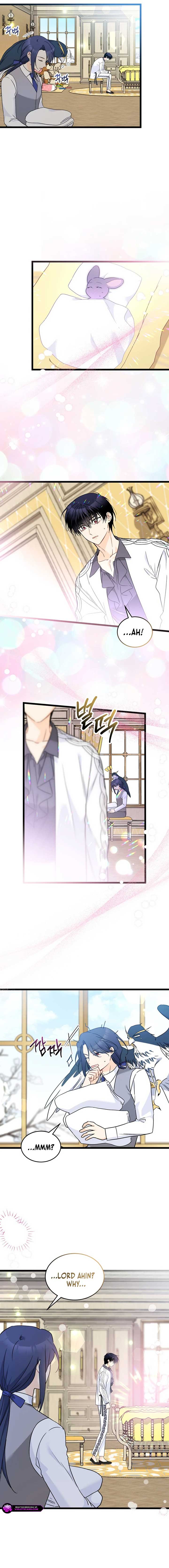 Read The Symbiotic Relationship Between the Rabbit and the Black Panther Manga Online