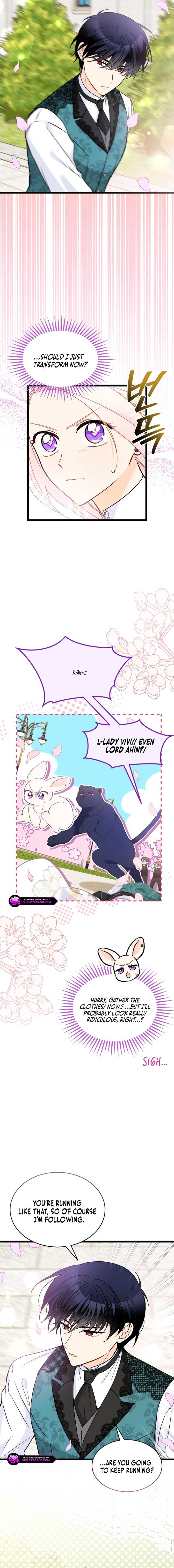 Read The Symbiotic Relationship Between the Rabbit and the Black Panther Manga Online