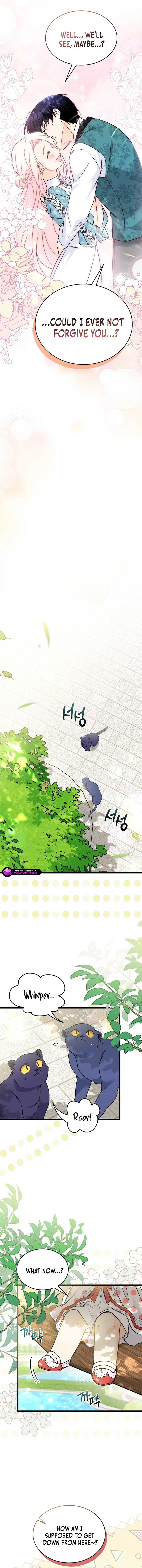 Read The Symbiotic Relationship Between the Rabbit and the Black Panther Manga Online