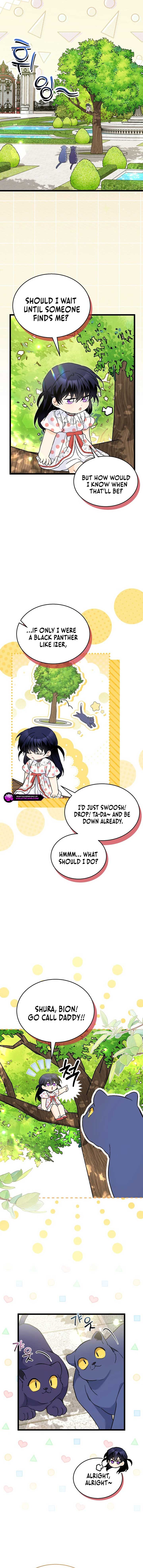 Read The Symbiotic Relationship Between the Rabbit and the Black Panther Manga Online