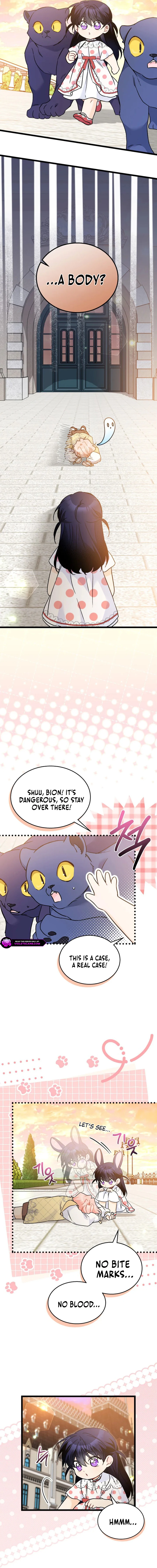 Read The Symbiotic Relationship Between the Rabbit and the Black Panther Manga Online