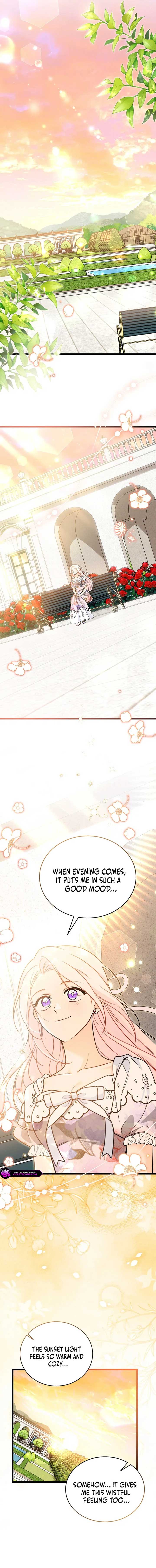 Read The Symbiotic Relationship Between the Rabbit and the Black Panther Manga Online