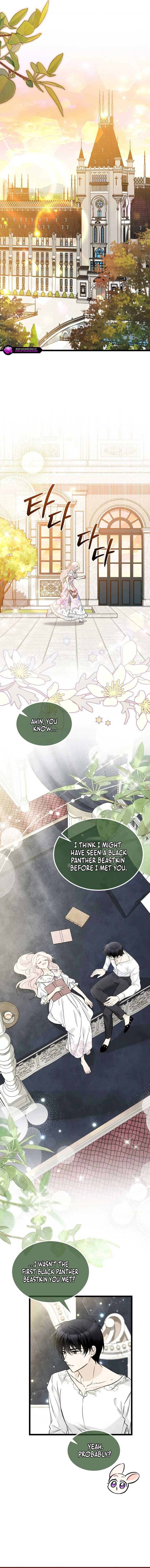 Read The Symbiotic Relationship Between the Rabbit and the Black Panther Manga Online