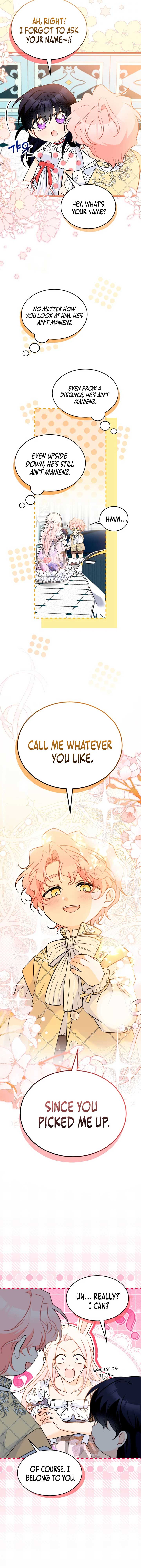 Read The Symbiotic Relationship Between the Rabbit and the Black Panther Manga Online