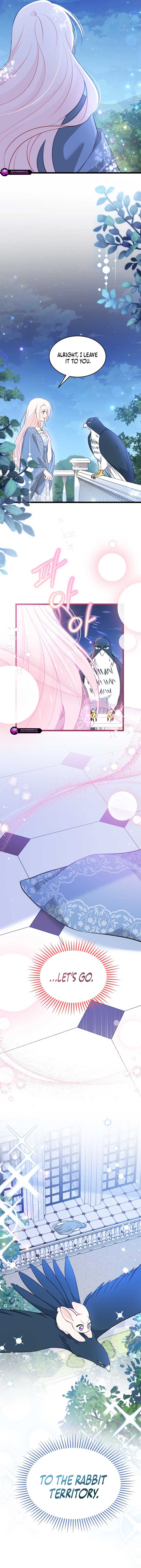 Read The Symbiotic Relationship Between the Rabbit and the Black Panther Manga Online