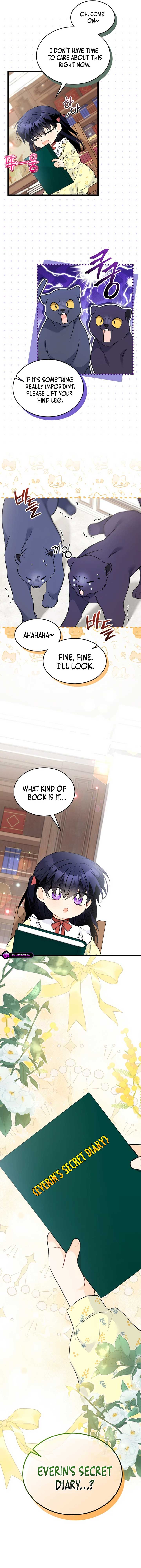 Read The Symbiotic Relationship Between the Rabbit and the Black Panther Manga Online