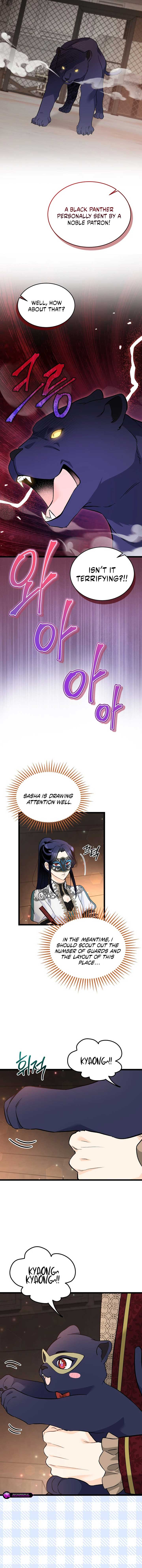 Read The Symbiotic Relationship Between the Rabbit and the Black Panther Manga Online