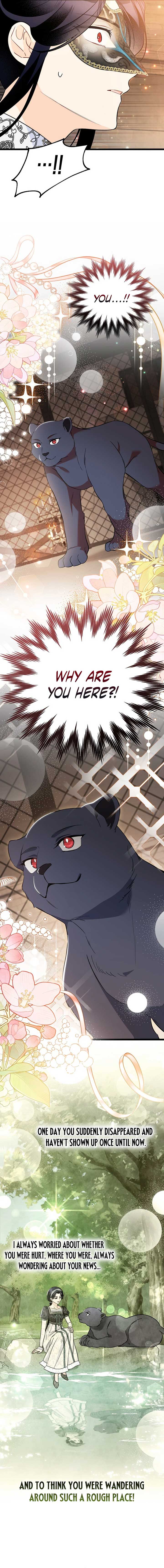 Read The Symbiotic Relationship Between the Rabbit and the Black Panther Manga Online