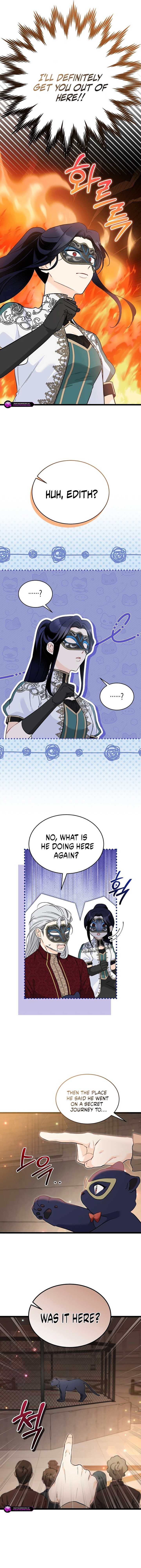 Read The Symbiotic Relationship Between the Rabbit and the Black Panther Manga Online