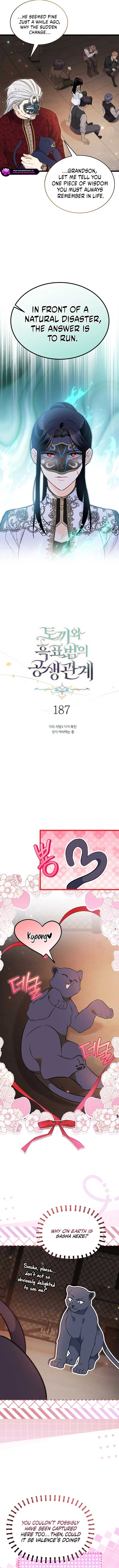 Read The Symbiotic Relationship Between the Rabbit and the Black Panther Manga Online