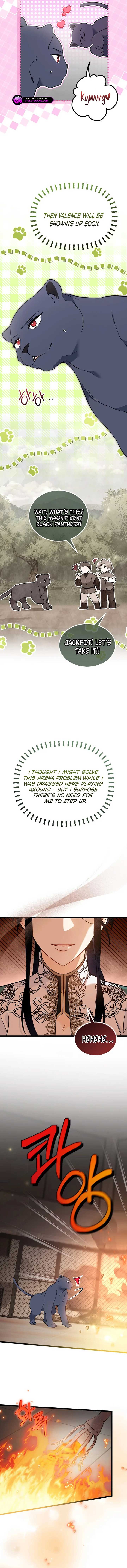 Read The Symbiotic Relationship Between the Rabbit and the Black Panther Manga Online